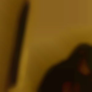 Perfil