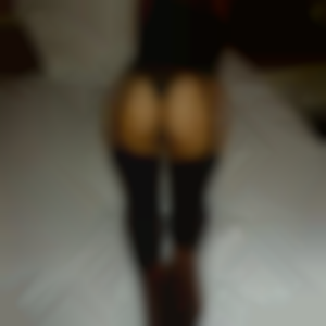 Perfil