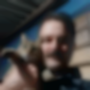 Perfil